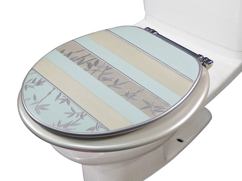 Bayou Breeze Florine Decorative Round Toilet Seat & Reviews Wayfair